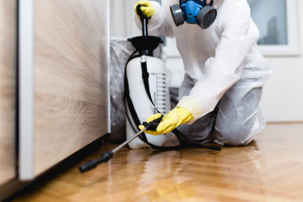 Best Pest Control Near Me  in Verdigris, OK