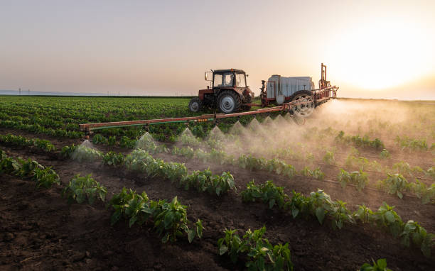 Best Wildlife Control Services  in Verdigris, OK