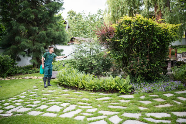Best Local Pest Control Services  in Verdigris, OK