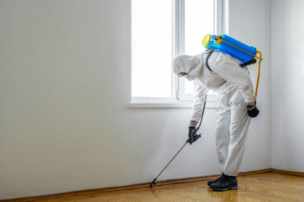 Best Pest Removal Services  in Verdigris, OK