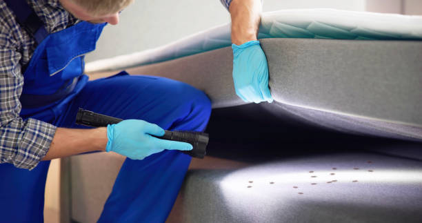 Best Pest Control Treatment  in Verdigris, OK