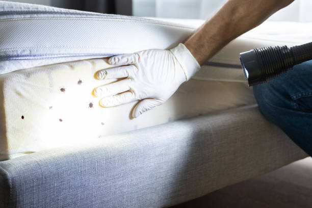 Best Bed Bug Extermination  in Verdigris, OK