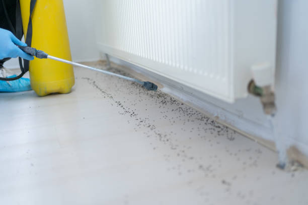 Best Commercial Pest Control Services  in Verdigris, OK