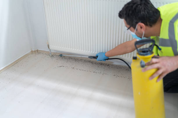 Best Cockroach Control Services  in Verdigris, OK