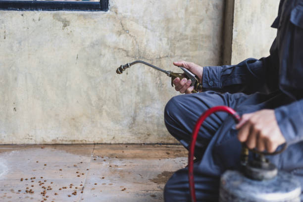 Best Affordable Exterminators  in Verdigris, OK